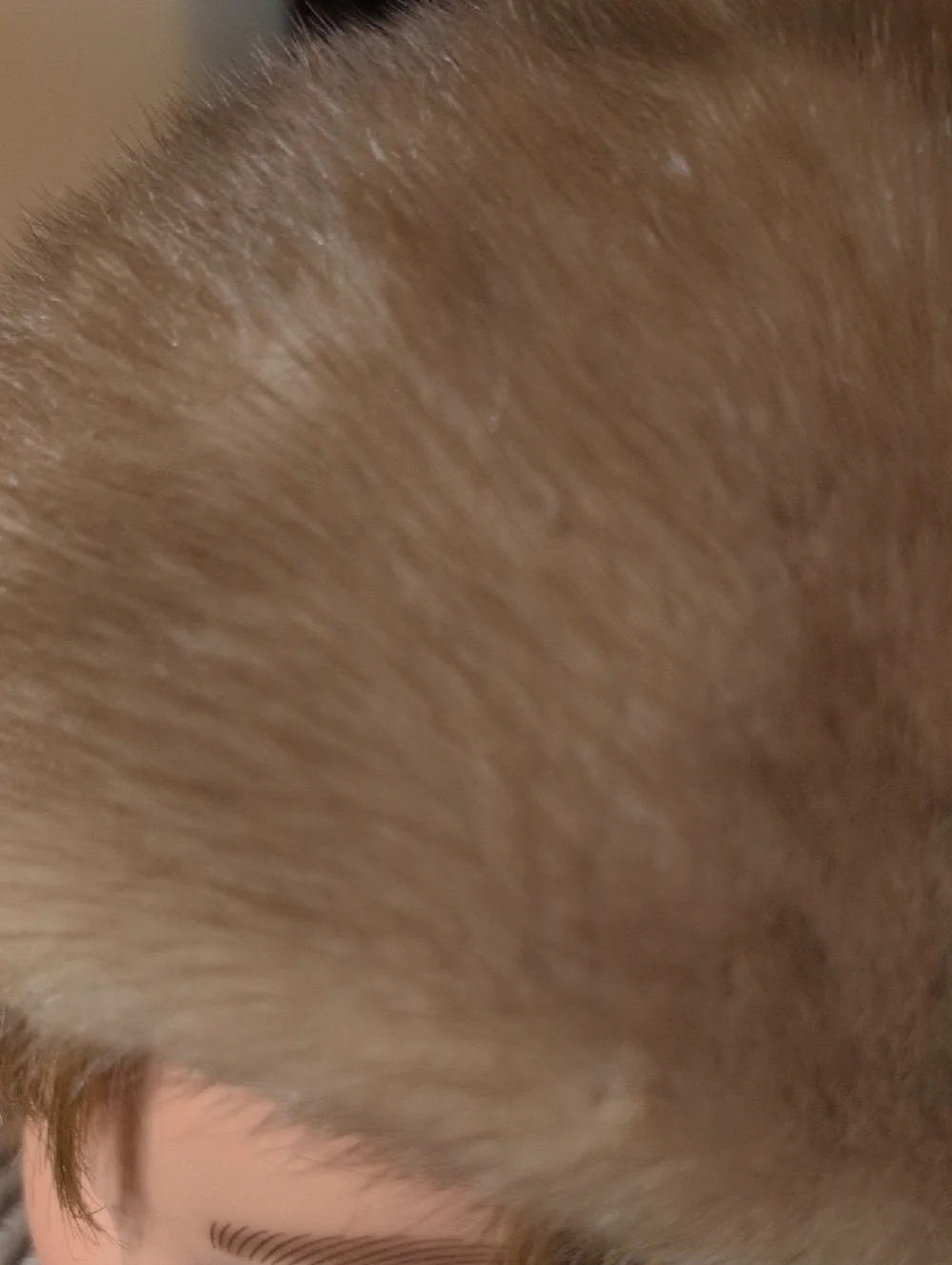 VTG Light Brown Mink Pill Box Hat - Picture 5 of 5